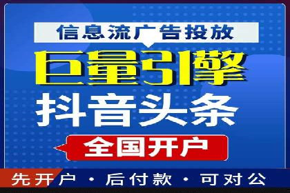 SEO百度推广策略：成功案例解析